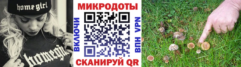 Галлюциногенные грибы GOLDEN TEACHER ОМГ ОМГ как войти Похвистнево